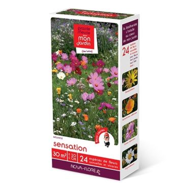 Mezcla de semillas Les Lutins Sensation