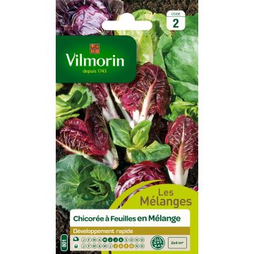 Escarola Mix - Vilmorin