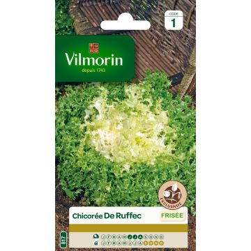 Achicoria de Bruselas de Ruffec - Vilmorin