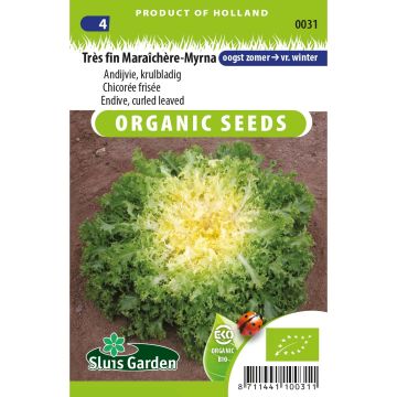 Achicoria de Bruselas Myrna Bio