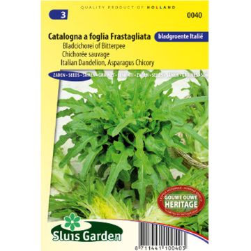 Escarola Catalogna a foglia Frastagliata