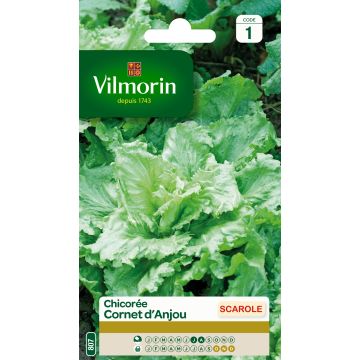 Escarola Cornet d'Anjou - Vilmorin