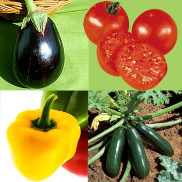 Colección Hortalizas del sol - 4 planteros de hortalizas