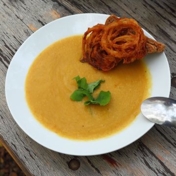 Colección "Sopa reconfortante de invierno" - 5 verduras en semillas y plantas
