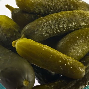 Pepinillo Delikatess