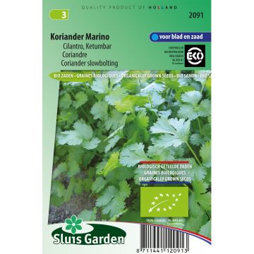 Cilantro Marino - Bio