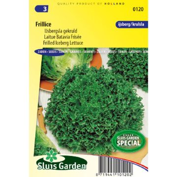 Lechuga Batavia frisée Frillice