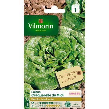 Lechugas Craquerelle du Midi - Vilmorin