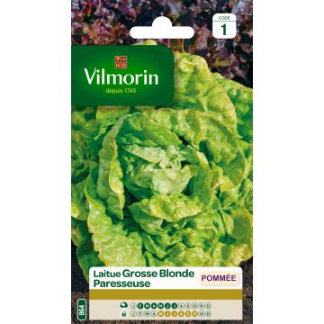 Lechuga Grosse Blonde Paresseuse
