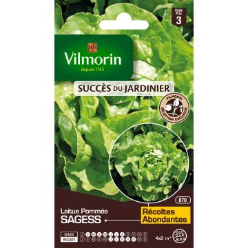 Lechuga Sagess