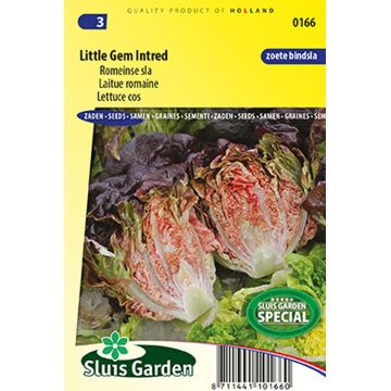 Lechugas Little Gem Intred