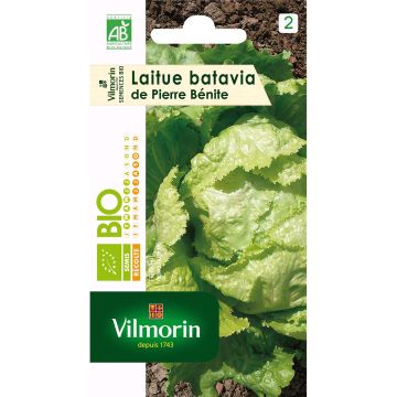 Lechuga batavia De Pierre Bénite Bio