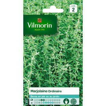 Mejorana - Vilmorin - Origanum majorana