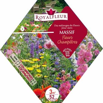 Mezcla para macizo de Flores Campestres - Bolsa 3 m²