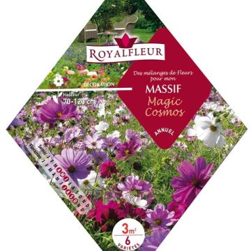 Mezcla para macizo Magic Cosmos - Bolsa 3m²