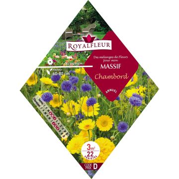 Mezcla para macizo Chambord - Bolsa 3 m²