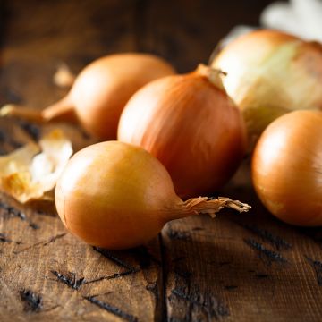 Cebolla Amarilla de Mulhouse