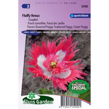 Adormidera Fluffy Venus - Papaver somniferum