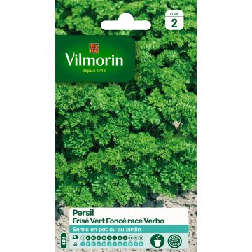 Perejil race Verbo - Vilmorin