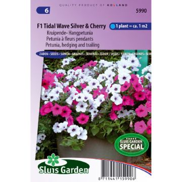 Petunia F1 Tidal Wave Silver y Cherry Red