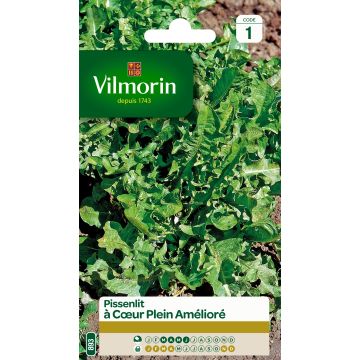 Diente de león Cœur Plein amélioré - Vilmorin
