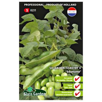 Soja Fiskeby V - Glycine max