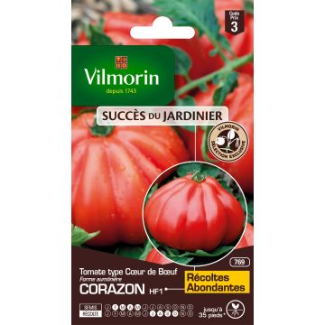Tomate Corazon