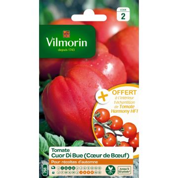 Tomate Cuor di Bue - Vilmorin