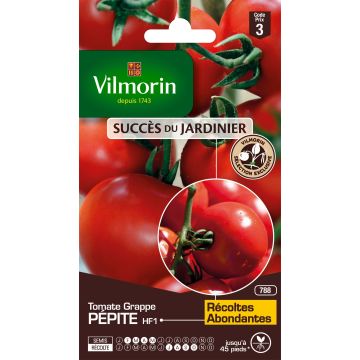 Tomate Pépite