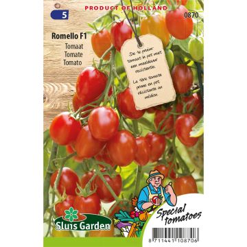 Tomate cherri Romello F1