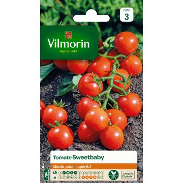 Tomate cherri Sweetbaby - Vilmorin