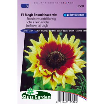 Girasol Magic Roundabout F1