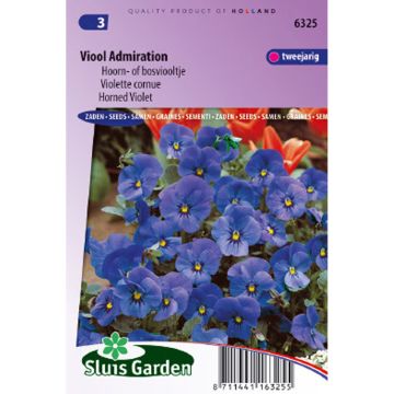 Viola cornuta hybrida Admiration - Violeta