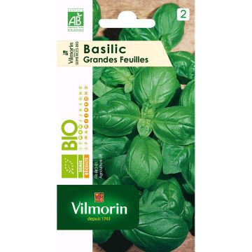 Albahaca Grand Vert Bio - Vilmorin