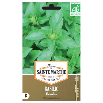 Albahaca Marseillais Bio - Ferme de Sainte Marthe