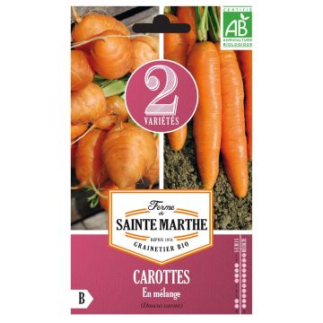 Zanahoria marché de Paris 3 - Nantaise 2