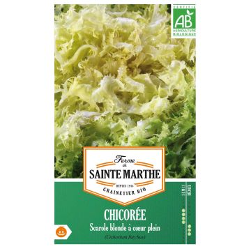 Escarola Blonde à Coeur Plein Bio - Ferme de Sainte Marthe