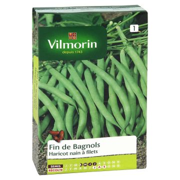 Judía enana Fin de Bagnols - Vilmorin
