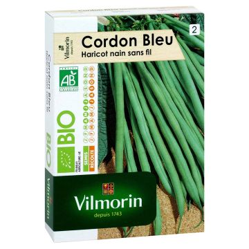 Judía enana Cordon bleu