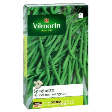Judía enana Spaghetto