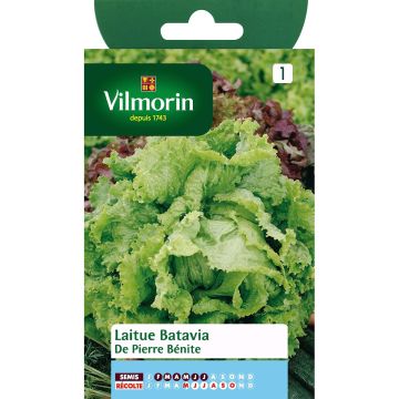 Lechuga batavia de Pierre Bénite - Vilmorin