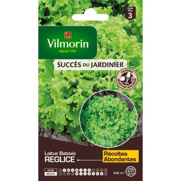 Lechuga batavia Reglice F1