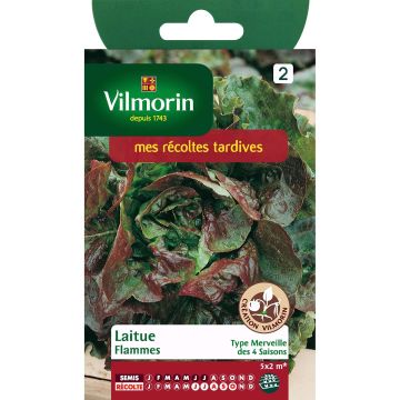 Lechuga Flammes