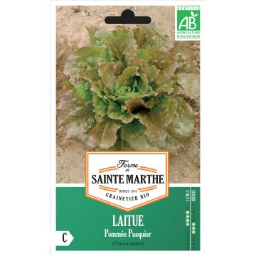 Lechuga Pasquier