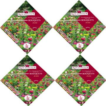 Mezcla de flores para ramos de verano para sembrar - Bolsa 3 m2