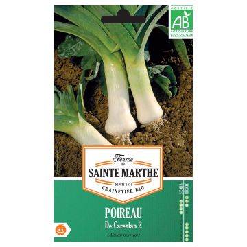 Puerro de Carentan 2 Bio - Ferme de Sainte Marthe