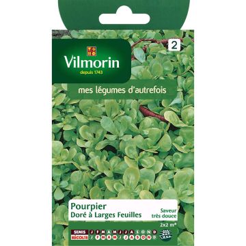Verdolaga común - Vilmorin