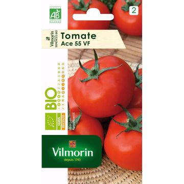 Tomate Ace 55