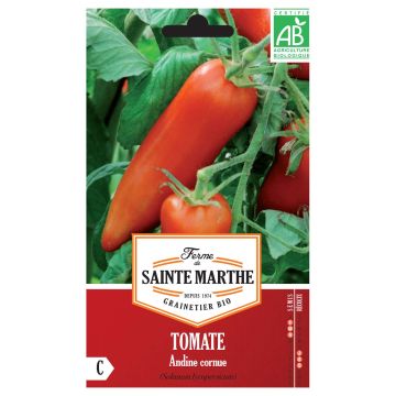 Tomate Andine Cornue Bio