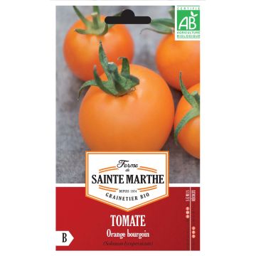Tomate Orange Bourgoin